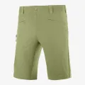 Salomon WAYFARER SHORTS M 