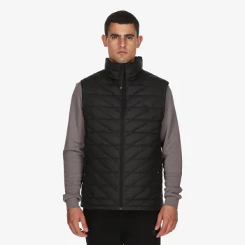 Mont Vest 