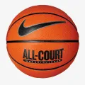 Nike Everyday All Court 6 