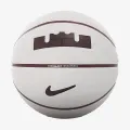 Nike NIKE PLAYGROUND 2.0 8P L JAMES DEFLATED 