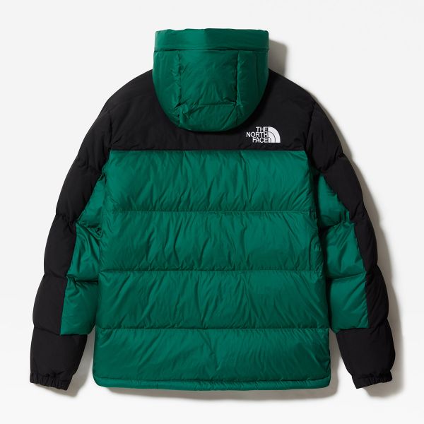The North Face M HMLYN DOWN PARKA 