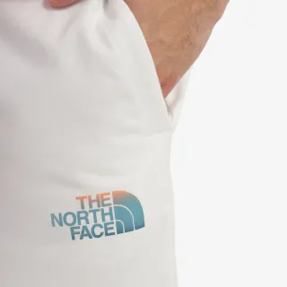 The North Face D2 Graphic 