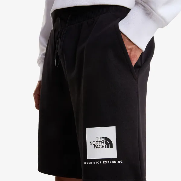 The North Face BOX NSE LIGHT REGULAR SHORTS 