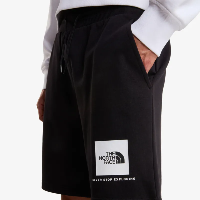 The North Face BOX NSE LIGHT REGULAR SHORTS 