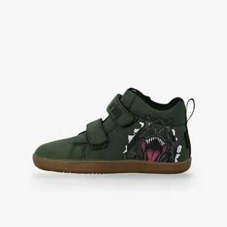 Bds DINOSAUR 