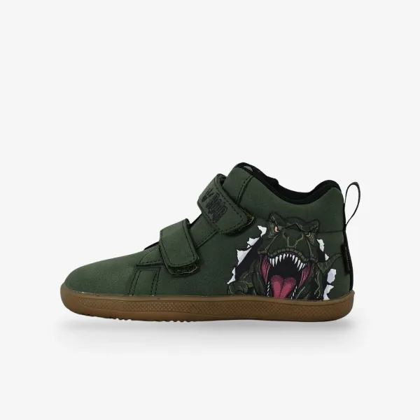 Bds DINOSAUR 