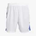 Umbro PREMIUM SHORTS 