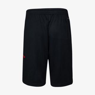 jordan vert mesh short