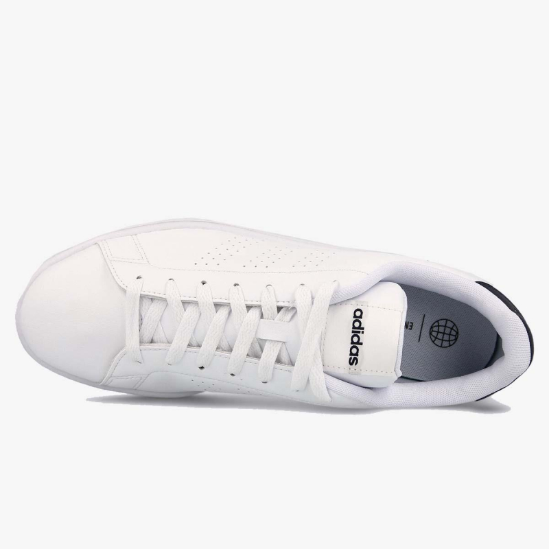 adidas advantage cena