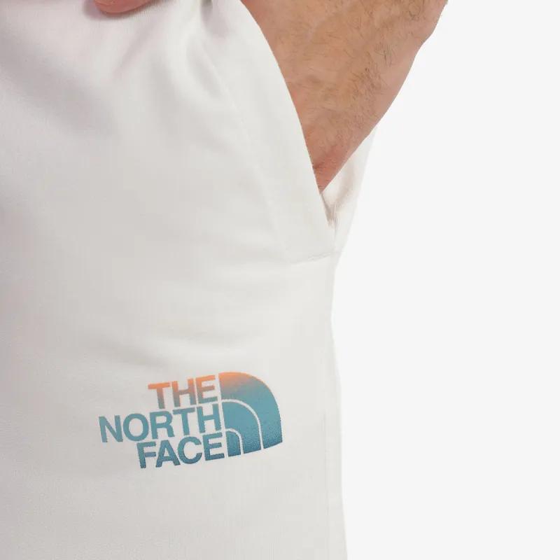 THE NORTH FACE D2 Graphic 
